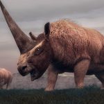 Our ancestors hunted a Siberian unicorn