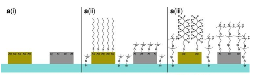 Tongue chemistry variations