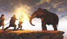 Japanese scientists revive mammoth cells (and other mammoth news)