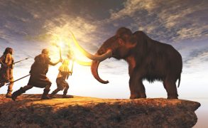 Humans moved mammoths