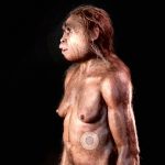 Mysterious old dwarf found in the Philippines
