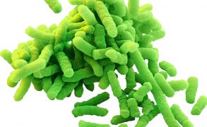 Gut bugs make your drunk