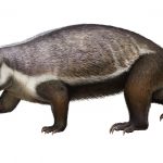 ‘Crazy beast’ from the age of dinosaurs discovered