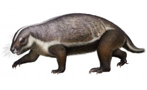 Adalatherium