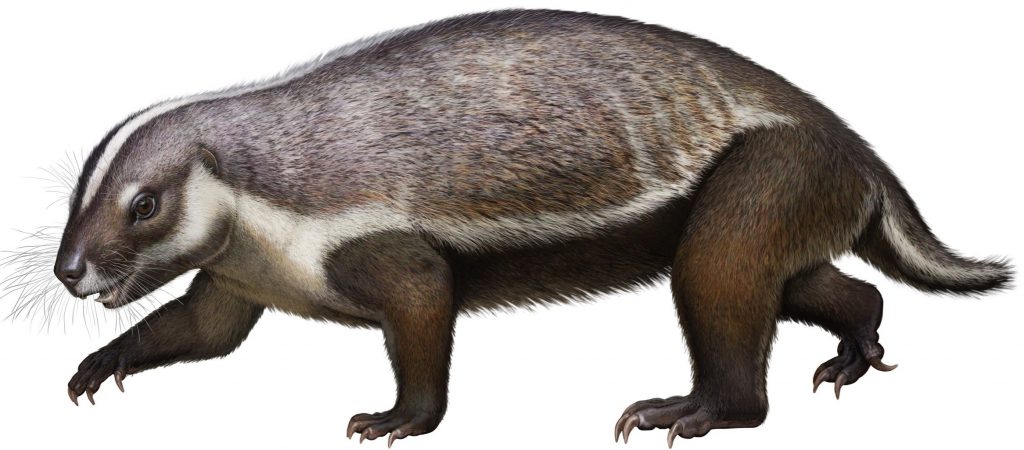 Adalatherium