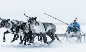 Scopio: Artem Pyatnitskiy