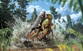 AGE OF DINOSAURS MUSEUM / Julius Csotonyi / ANSTO