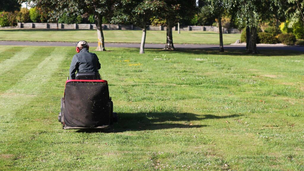 Smell of cut grass is attack warning Science Illustrated