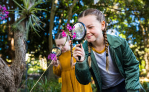 Science Week Australia
