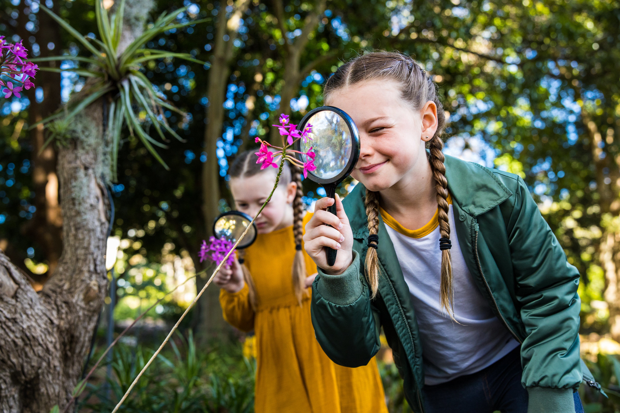 Science Week Australia