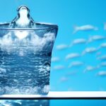 How many species can be found  in a glass of ocean water?