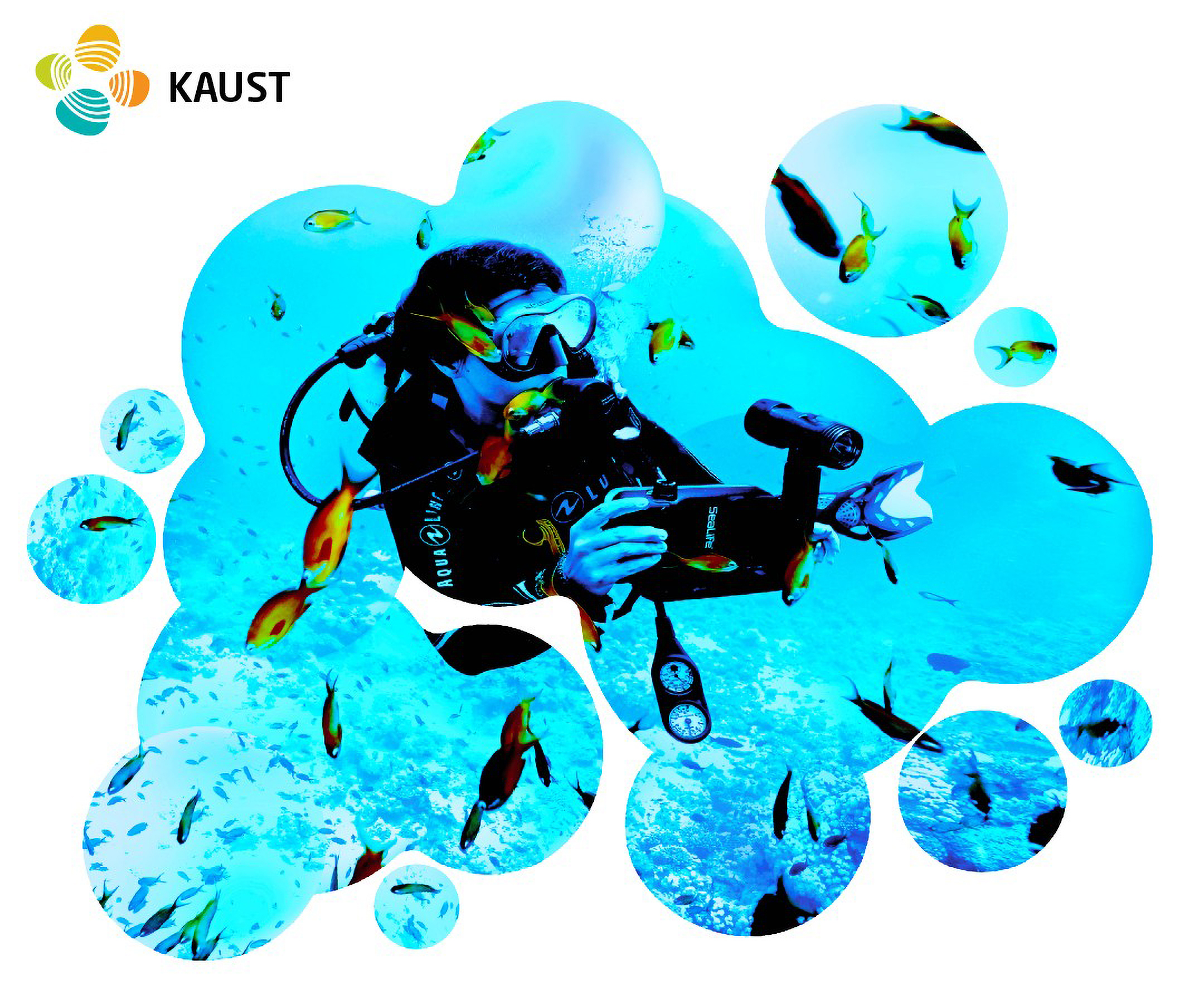KAUST