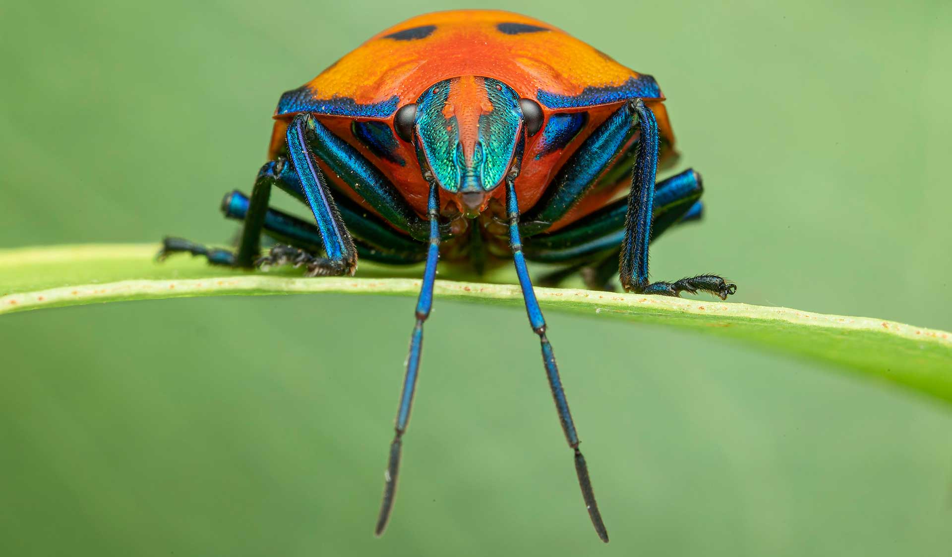 National Geographic/Rob Morgan