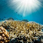 ‘Ocean with David Attenborough’ – masterpiece and call to action