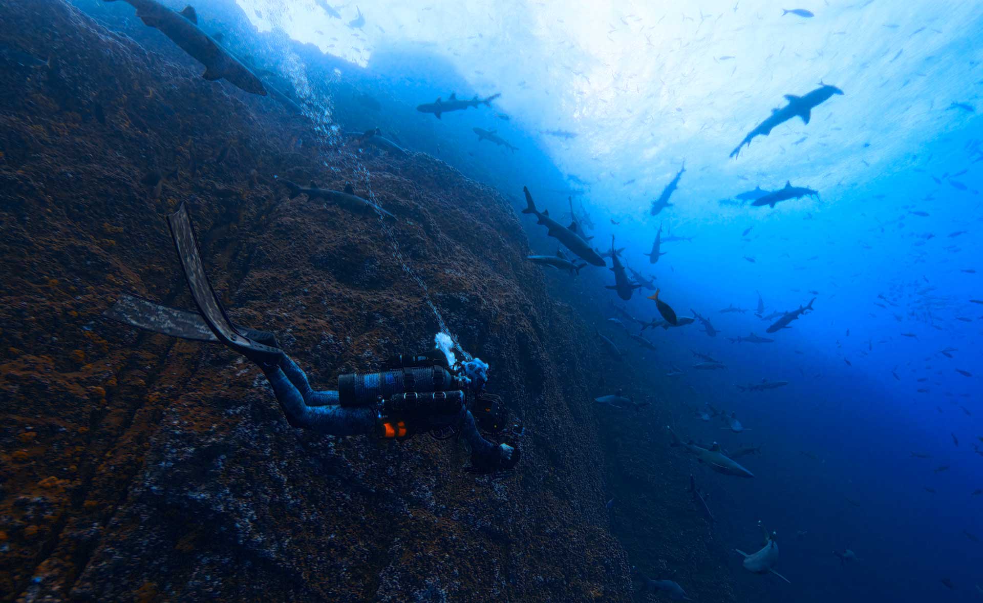 credit: National Geographic/Will West