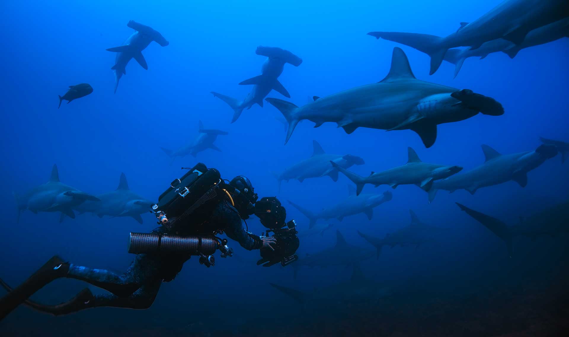 (credit: National Geographic/Jeff Hester)