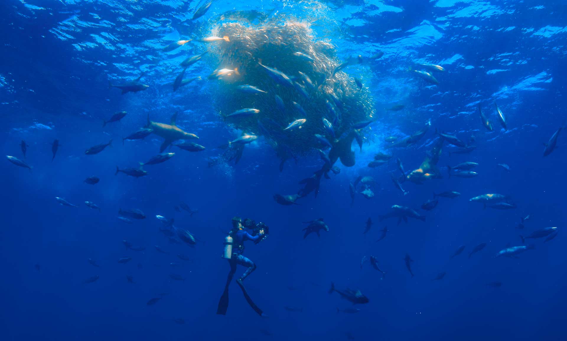 (credit: National Geographic/Jeff Hester)